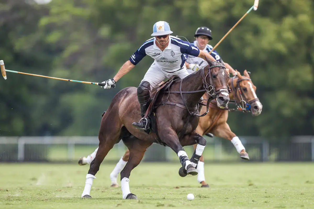 Hannah Montana, the first Polo Argentino horse clone.