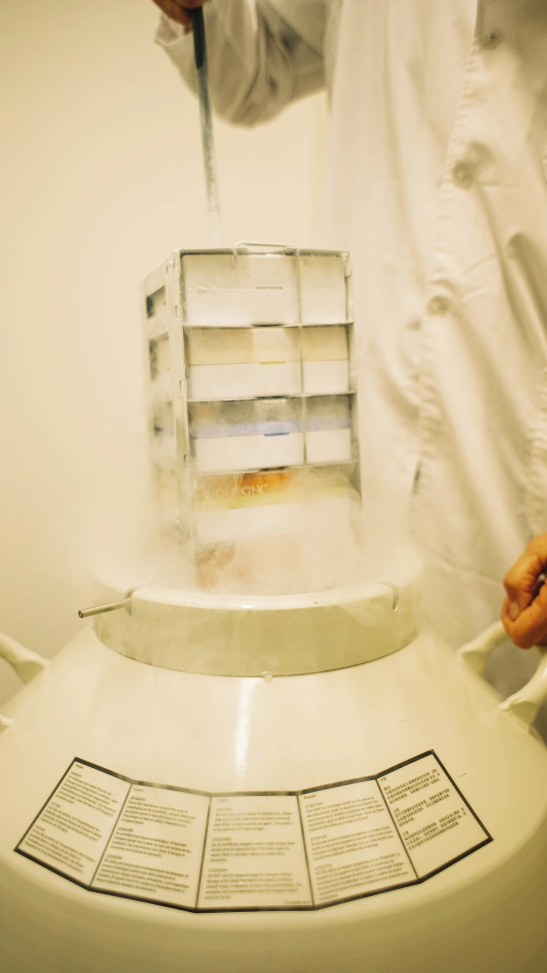 Embryo Cryopreservation